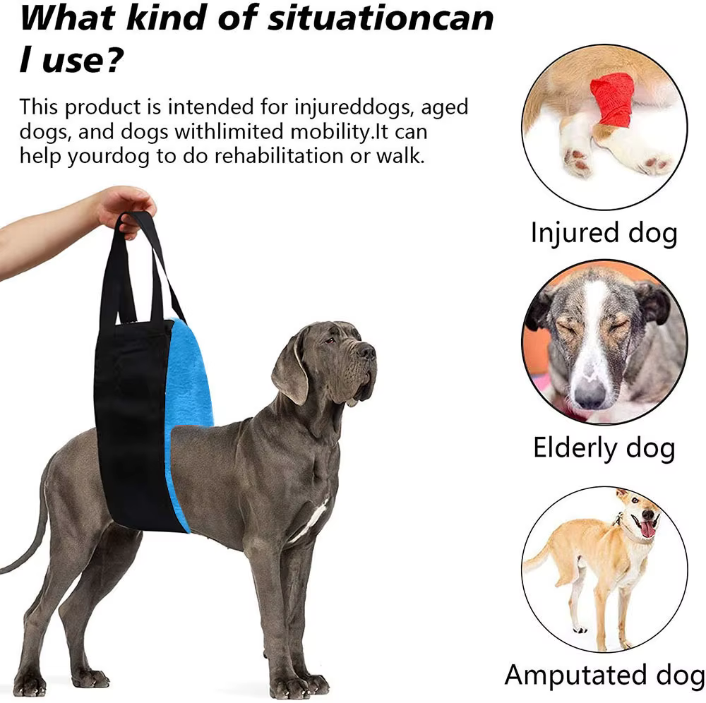 Arnés de Soporte para Perros con Problemas en Patas Traseras – Muleta para Recuperación - imagen 2