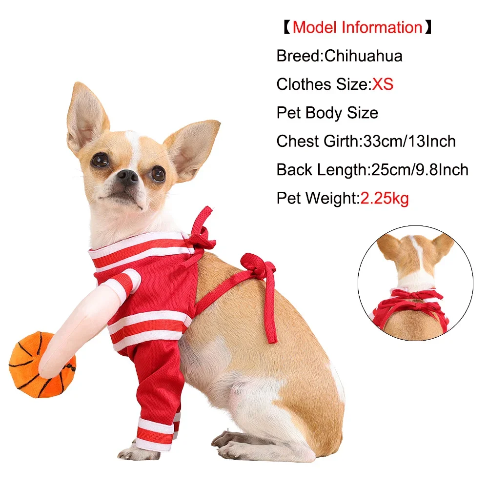 Perro con disfraz de baloncesto