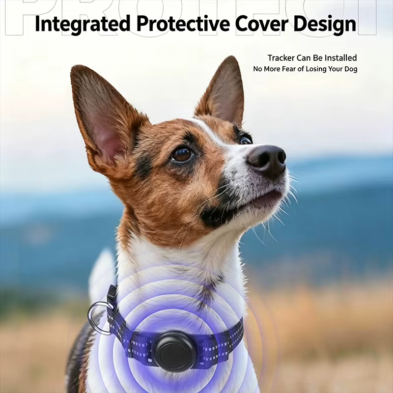 Collar de Perro para AirTag Personalizado, Impermeable, Reflectante y Ajustable