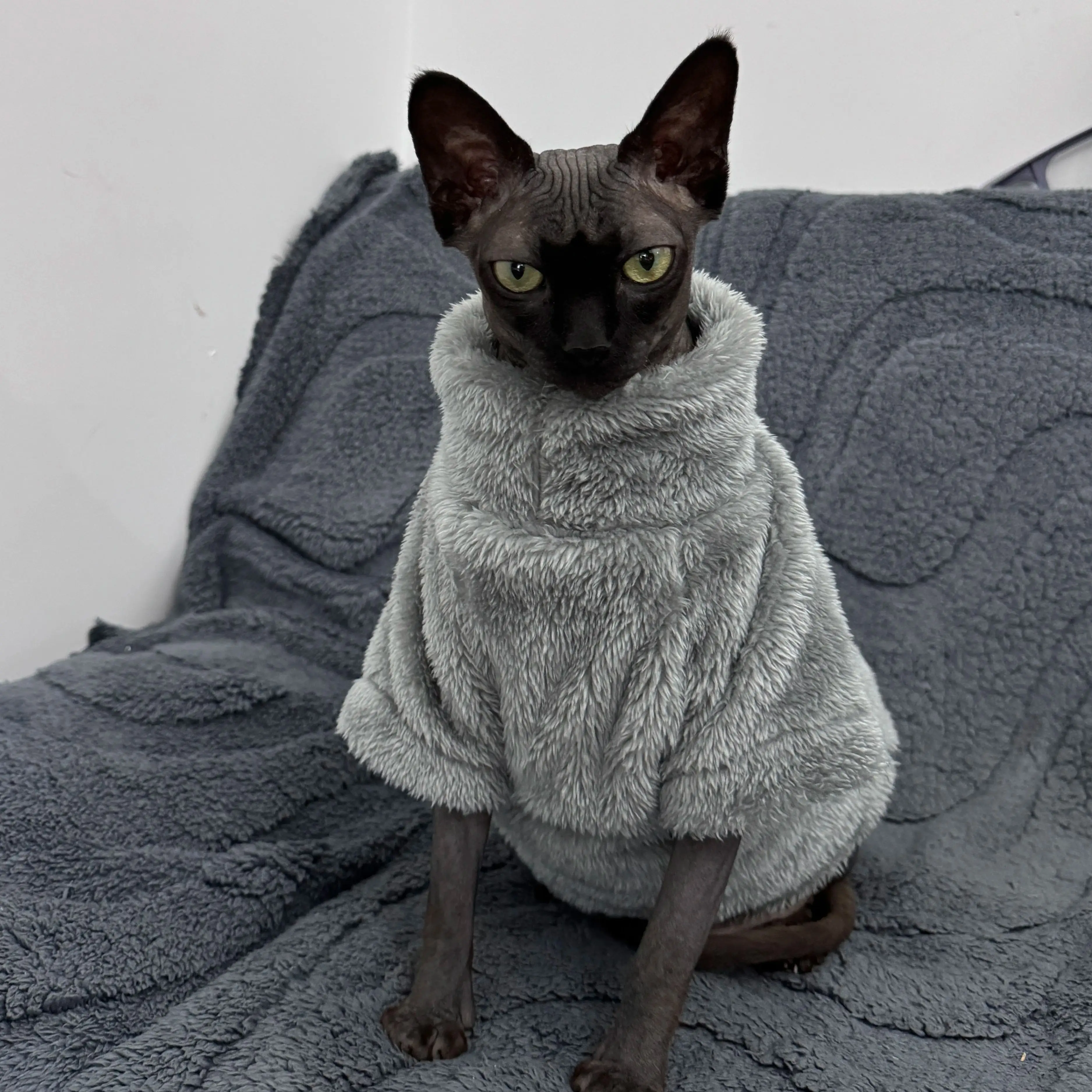 Gato usando suéter térmico