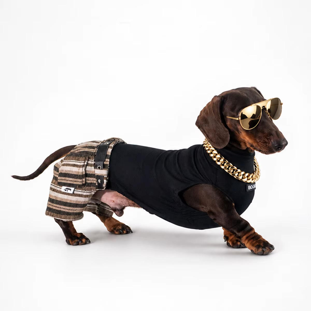 Chaleco sin mangas y pantalón para Dachshund, ropa de verano - imagen 3