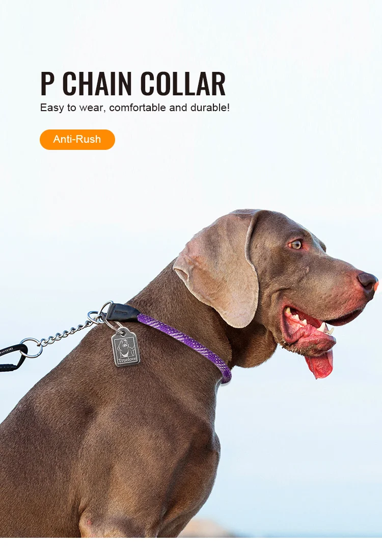 Collar para perro con hebilla de acero y cuerda trenzada