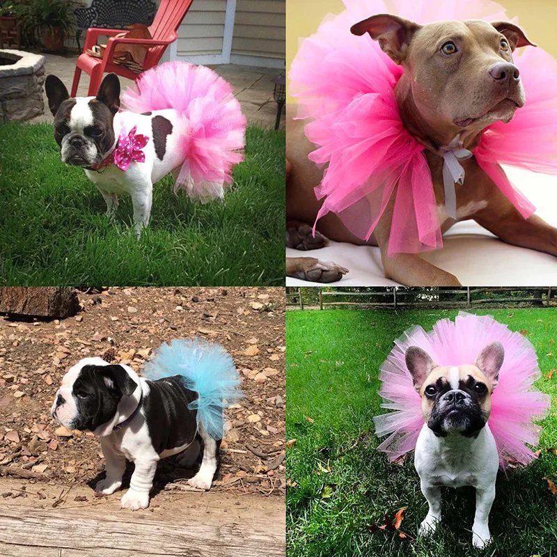 Falda tutú de malla para perros pequeños con babero