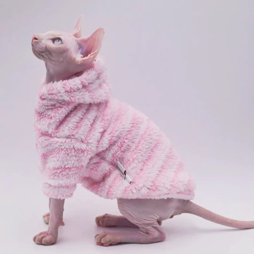 Gato juguetón con abrigo rosa