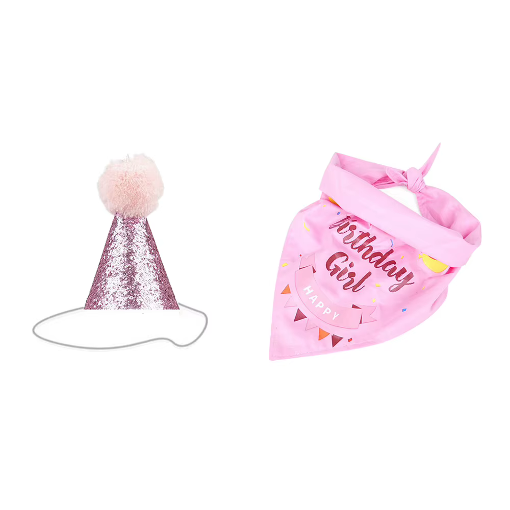 Kit fiesta cumpleaños para perro con sombrero, pancarta y globos - imagen 5