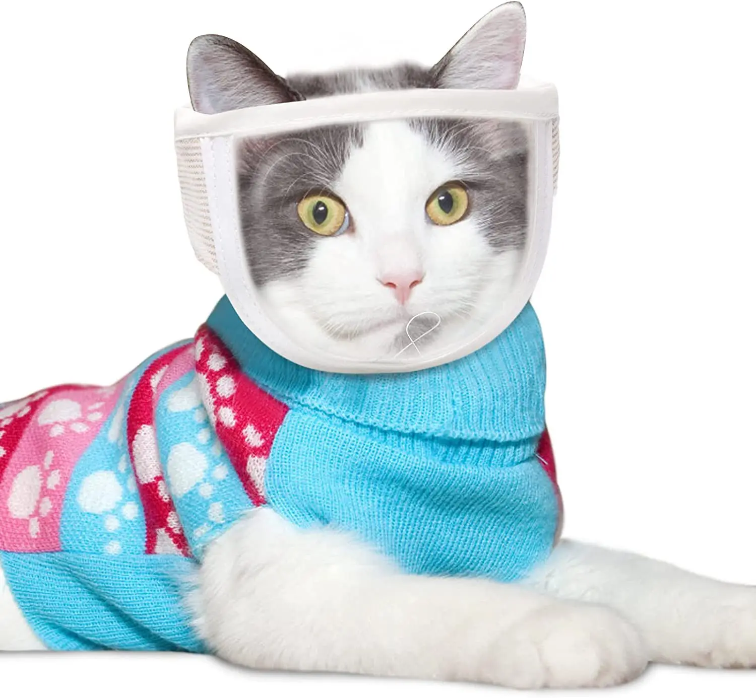 Bozal transparente para gatos en uso