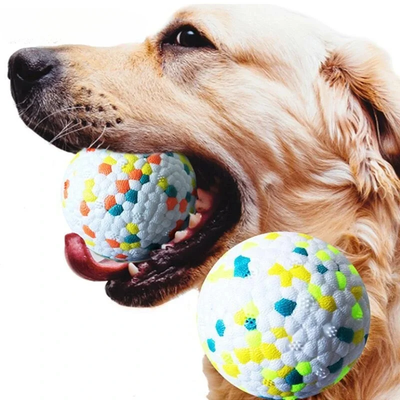 Pelota resistente a mordidas para perros – Juguete interactivo