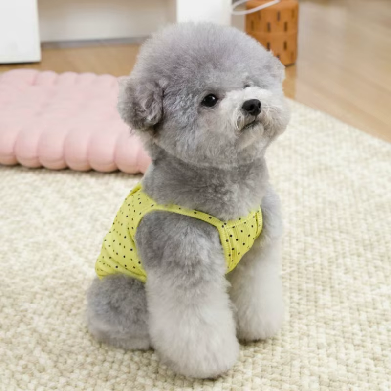 Chaleco de lunares para perro y gato – Top informal Bichón