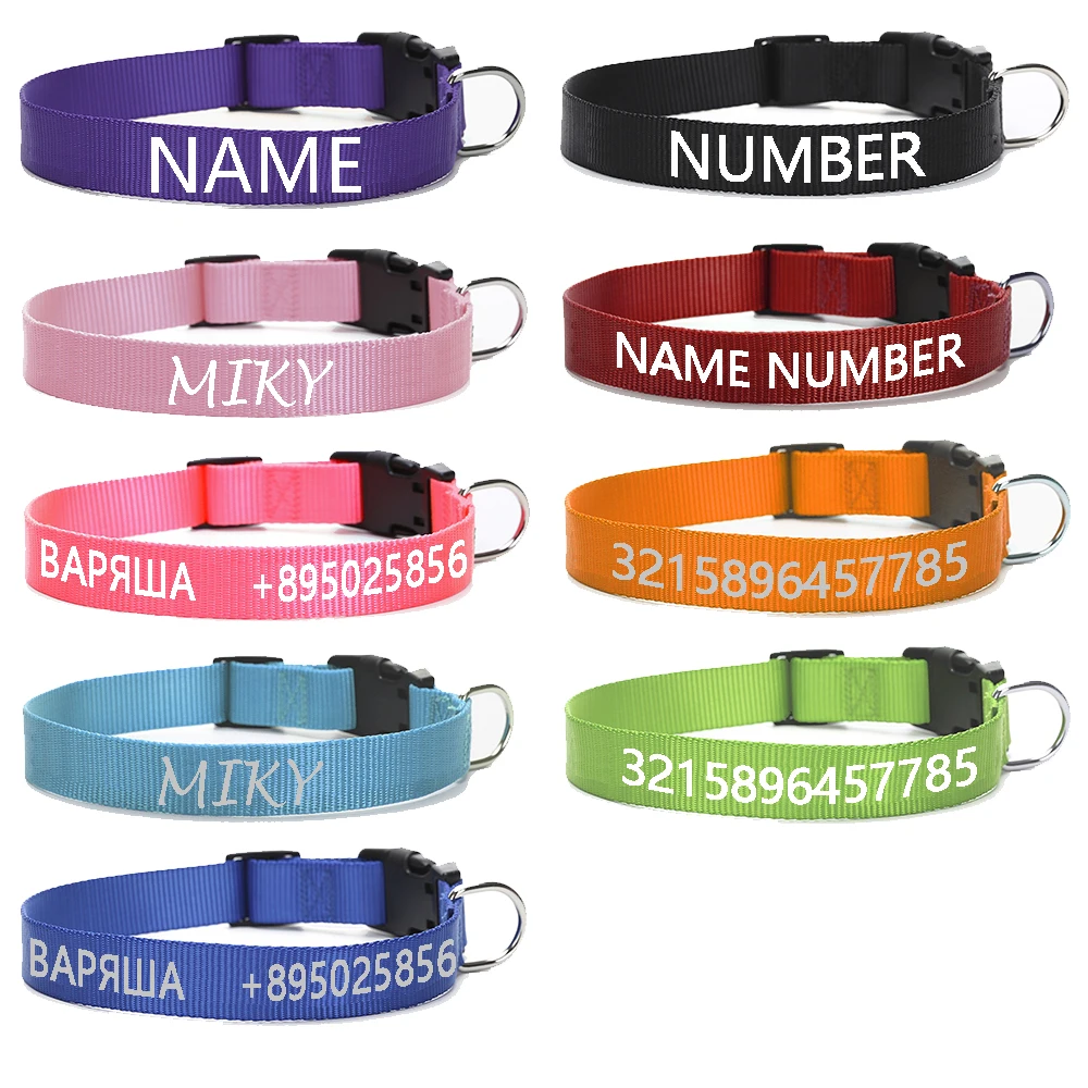 Mascota feliz con collar personalizado
