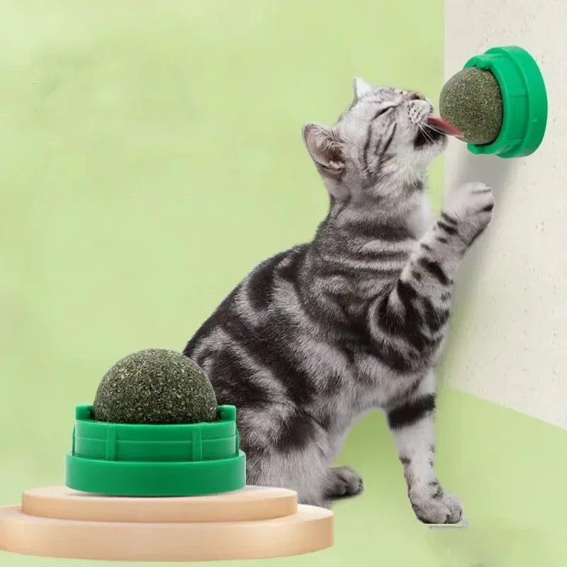 Bola adhesiva de hierba gatera instalada en pared con gato interactuando