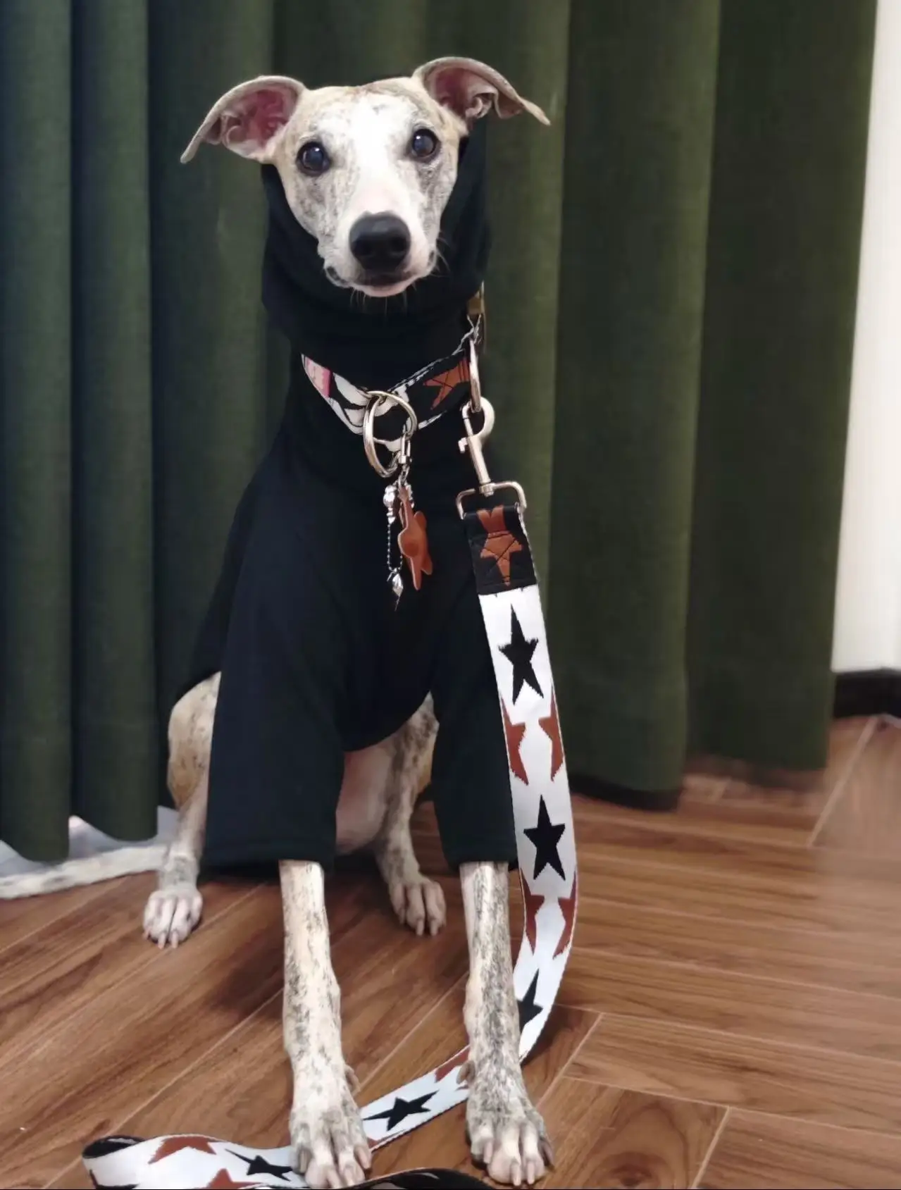 Jersey de punto con forro polar para perro pequeño