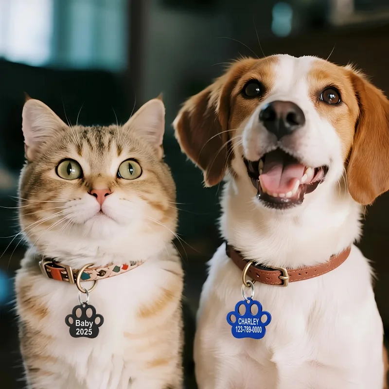 Placa Identificación Personalizada para Gato con Nombre Grabado y Diseño Huella - imagen 3