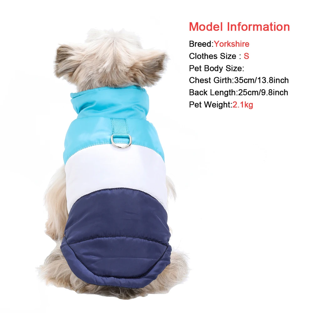 Modelo wearing abrigo azul