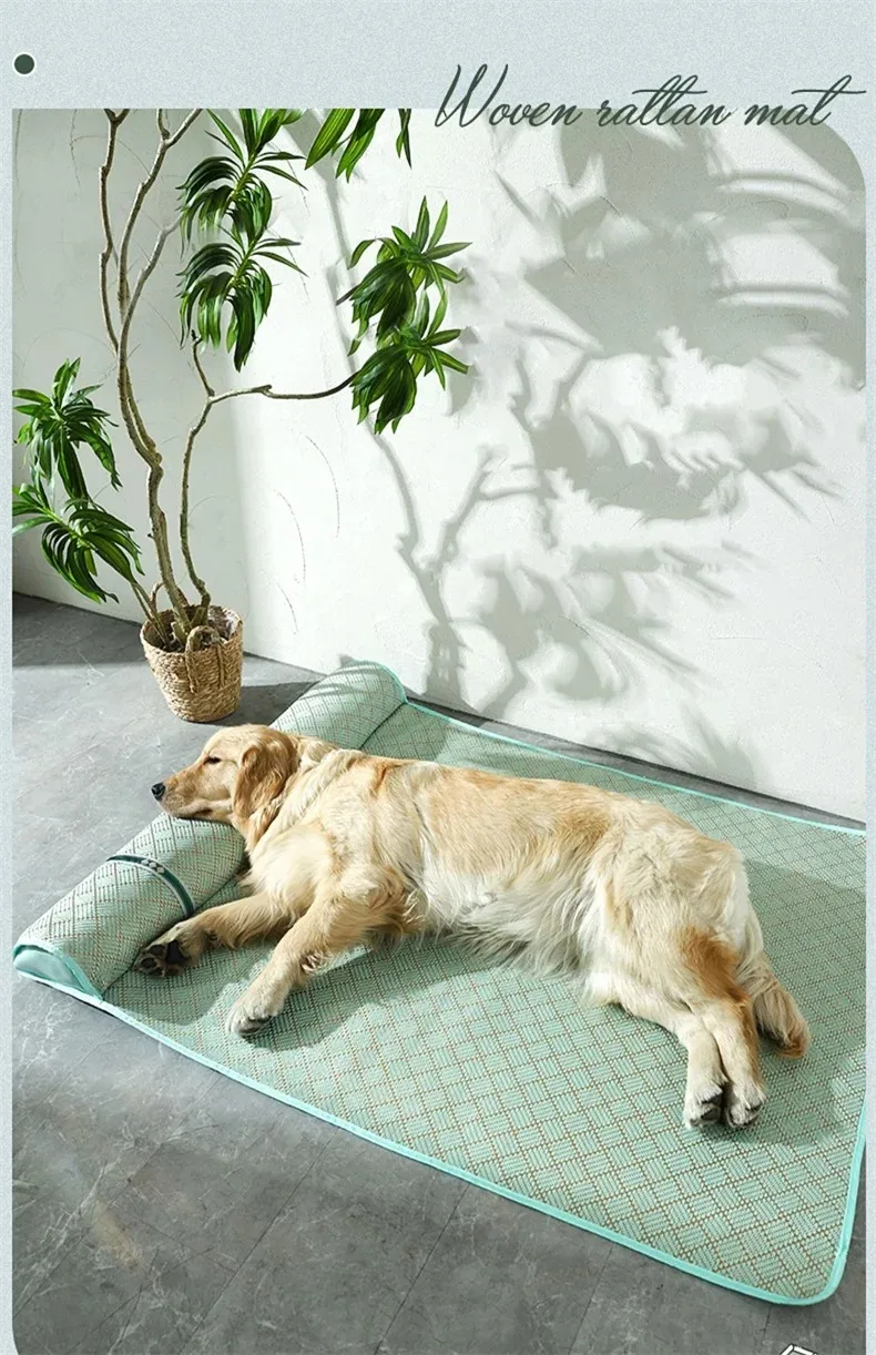 Cama para perros BeiYu Pet en interior