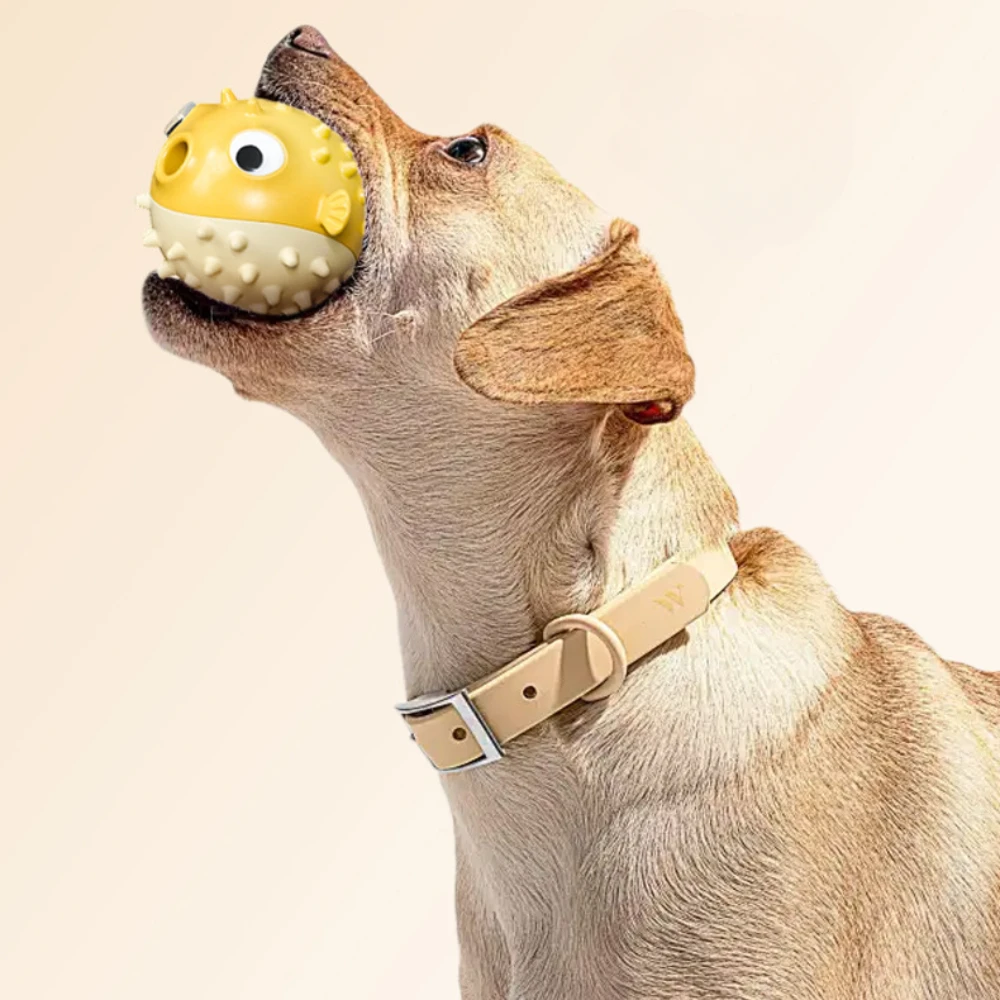 Perro jugando con la pelota sonora