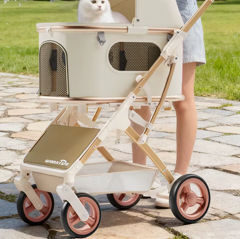 Uso del carrito en la calle