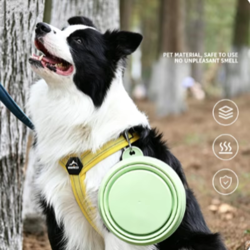 Tazón Plegable Portátil para Perros y Gatos – Plato Viaje 350 ml - imagen 5