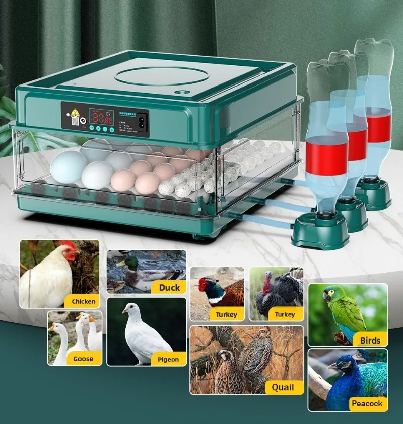 Detalle del panel de control de la incubadora