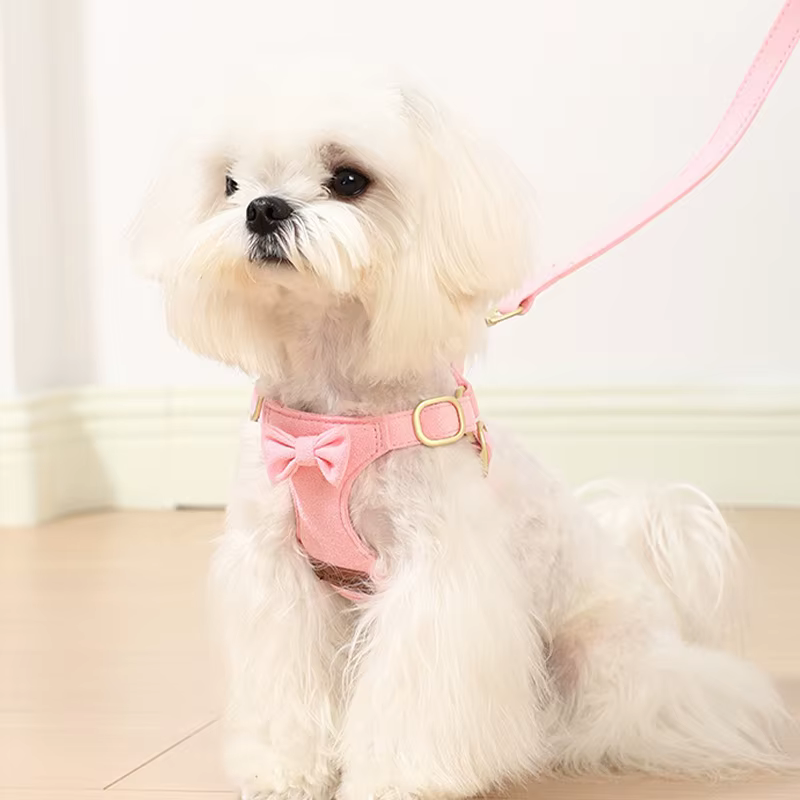 Arnés de gamuza con lazo ajustable para perro – Exterior y entrenamiento