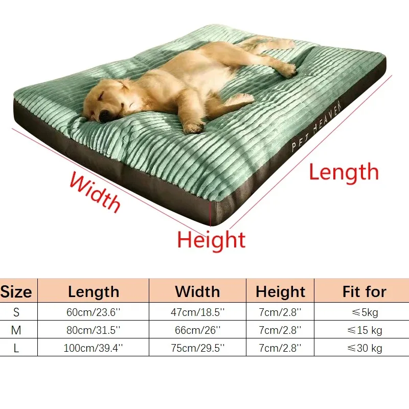 Cama acolchada beige para perro