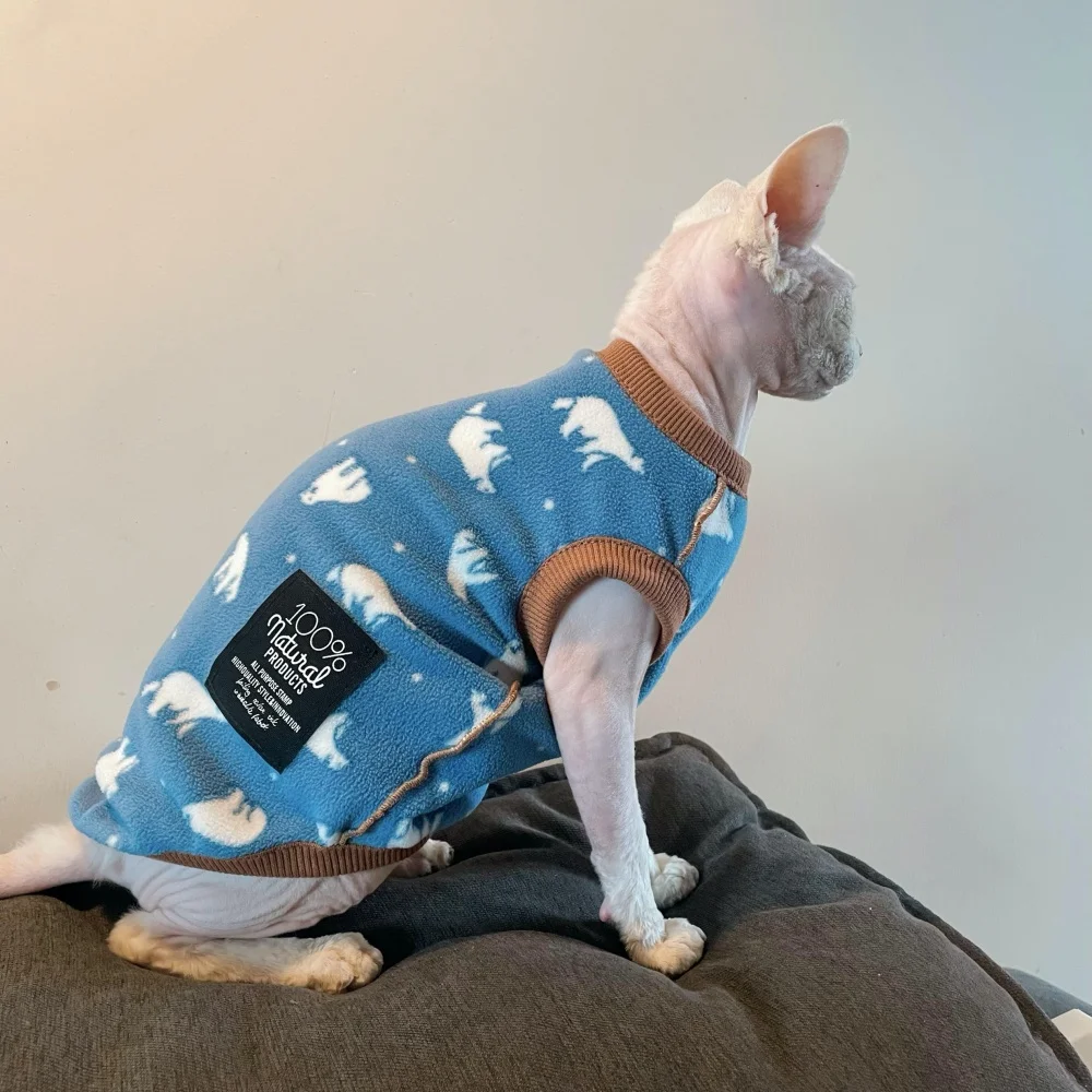 Gato Sphynx usando el jersey