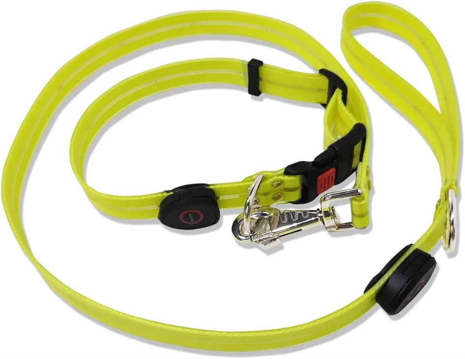 Correa LED ajustable para perros