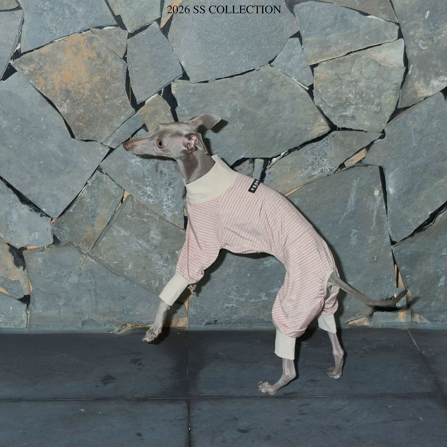Camiseta refrescante Ice-Skin a rayas para galgos italianos y Whippet - imagen 3