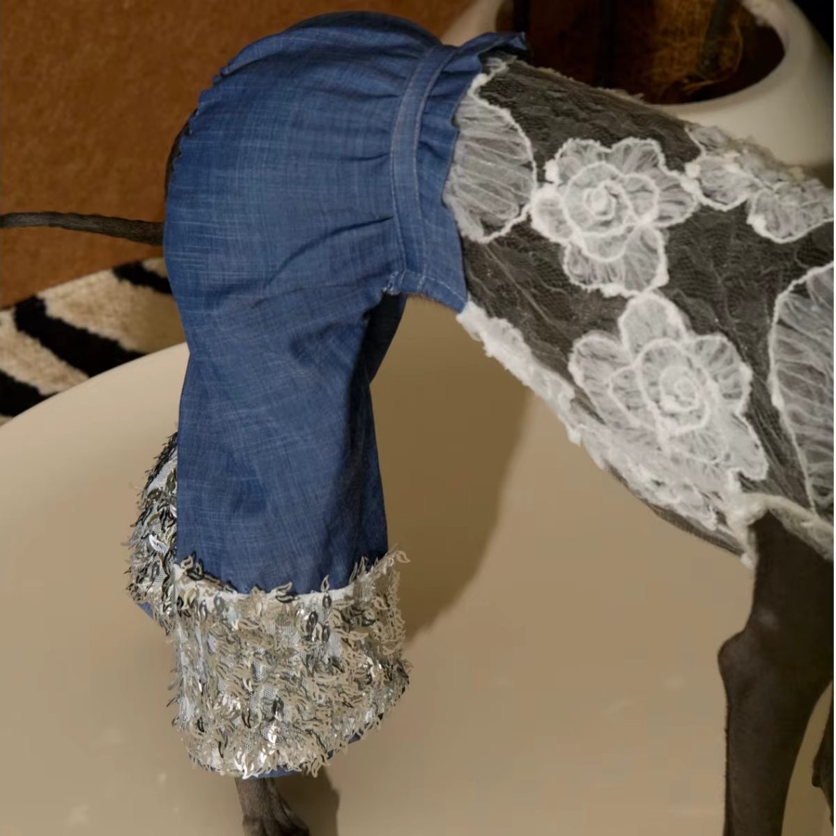 Mono vaquero con encaje floral transpirable para perritas, Whippet - imagen 5