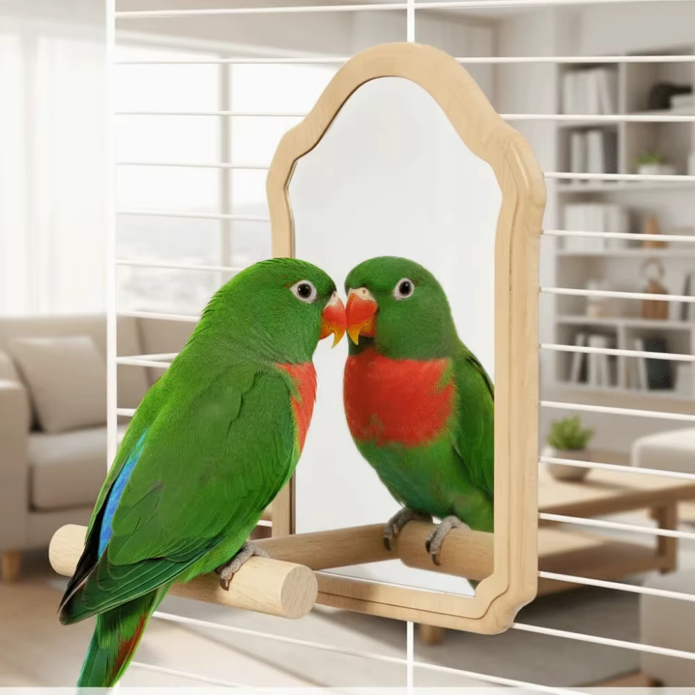Vogelspiegel Zitstok beneficio para aves