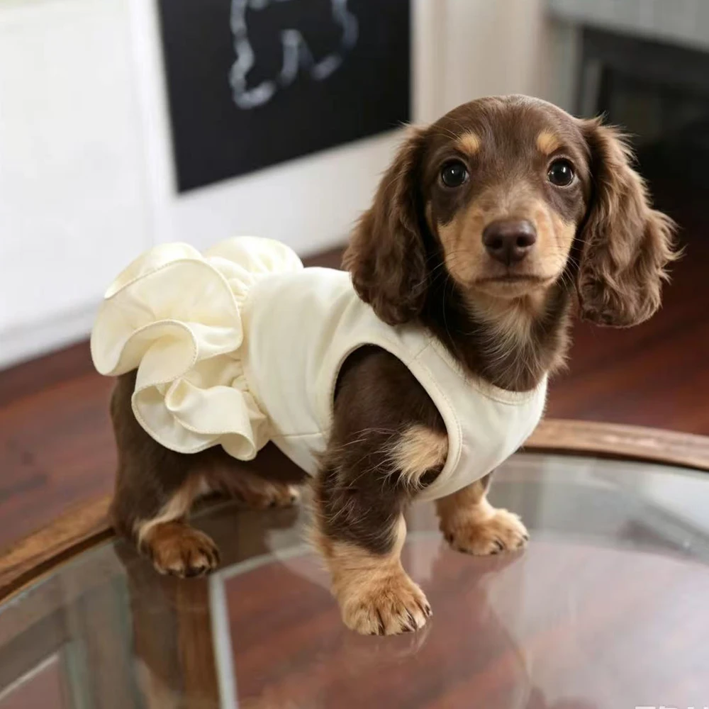 Vestido princesa con volantes para perro dachshund color amarillo - imagen 2