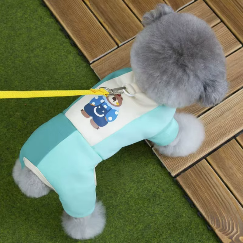 Cuidado del mono para mascota