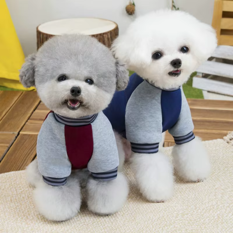 Sudadera con letras para perros y gatos – Chaqueta cálida para mascotas pequeñas - imagen 2