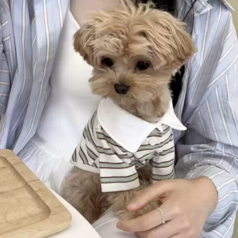 Polo a rayas para perros y gatos – Camiseta ligera de verano