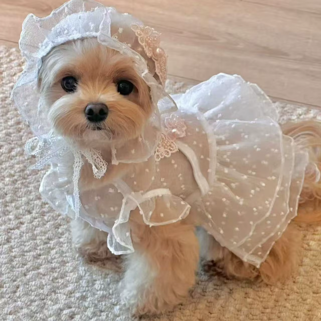 Vestido de princesa de encaje para perros pequeños y gatos - imagen 2