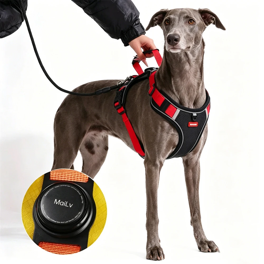 Arnés de control para perro grande – antiescape para Greyhound y Doberman - imagen 2