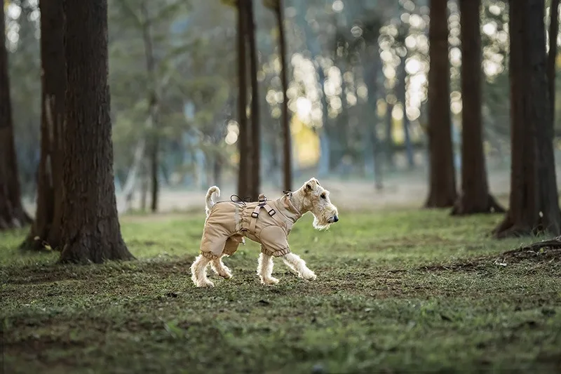 Muestra de la chaqueta para perro