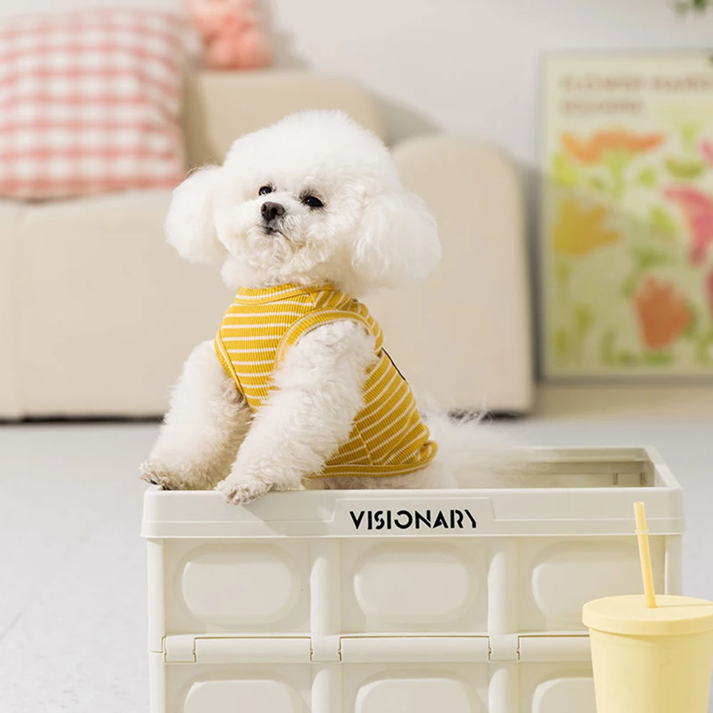 Chaleco de verano para perros pequeños con diseño de oso rayado - imagen 3