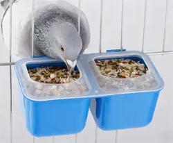 Comedero colgante para aves, palomas y loros – Antivuelco