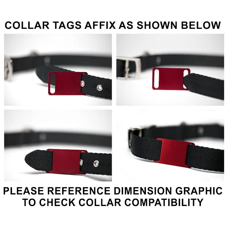 Placa identificación personalizada para perro aluminio grabado láser - imagen 5