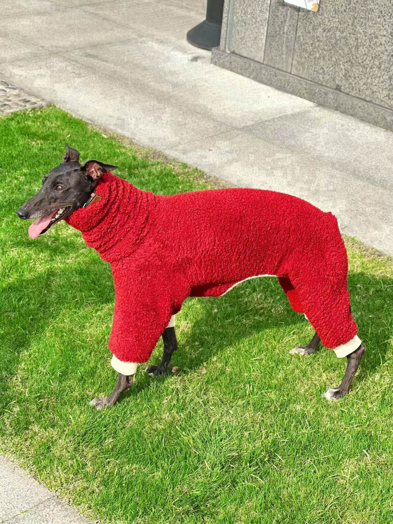 Chaqueta de invierno para perros de raza estilizada