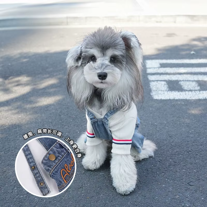 Pantalones bordados para perros y gatos pequeños y medianos - imagen 2