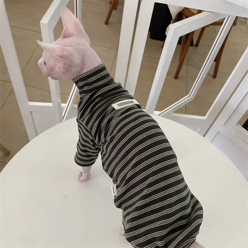 Gato con la camisa gris en interior