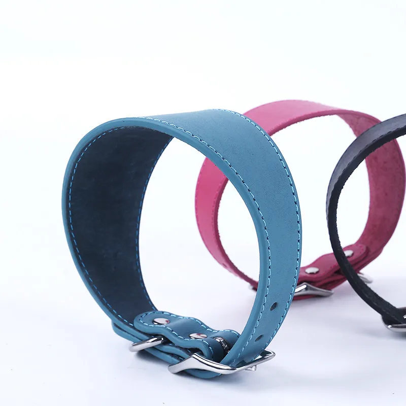 Collar y correa de cuero ancho para Galgo y Whippet antitirones - imagen 4