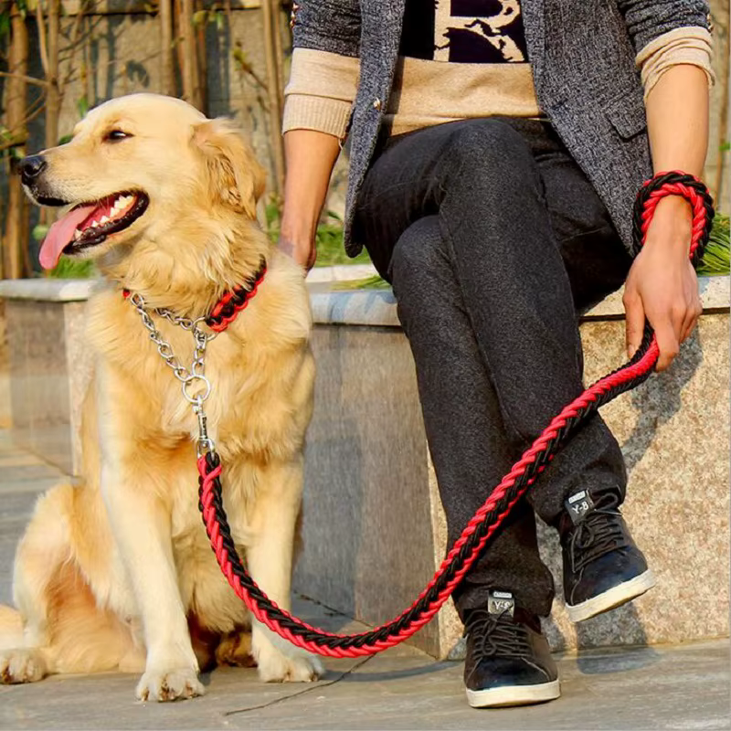 Set correa y collar trenzados para perros - imagen 5