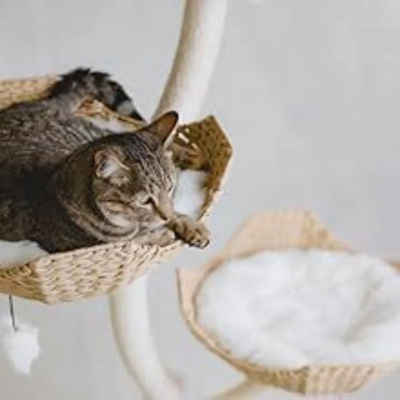 Muebles para gatos assembled