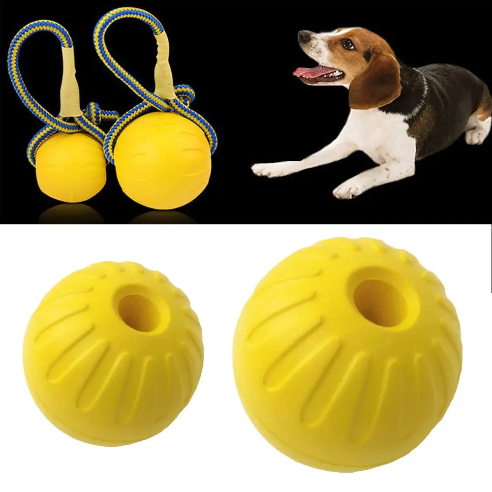 Bola de entrenamiento flotante para perros