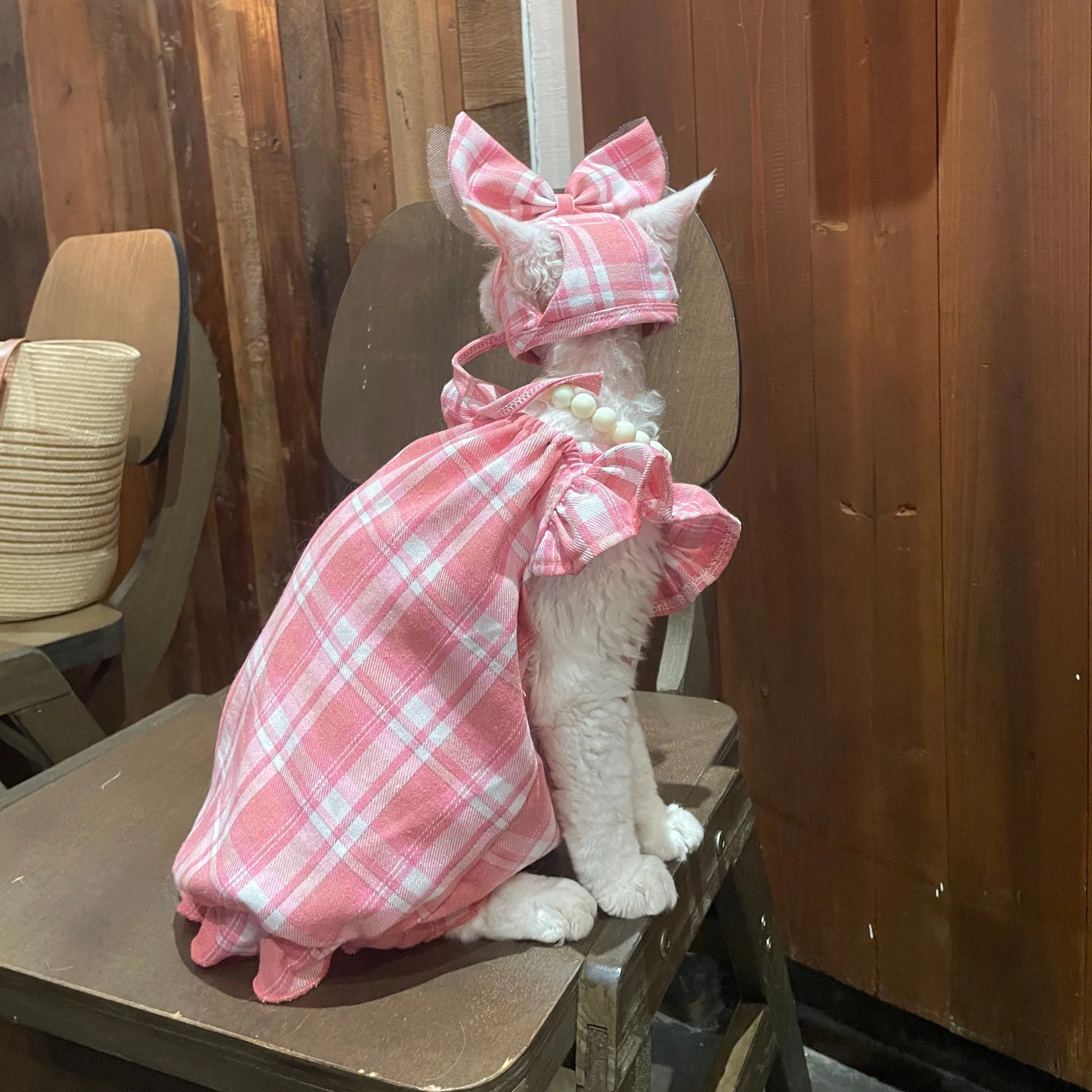Traje Princesa a Cuadros Rosa para Gatos Devon Rex, Sphynx y Perros Pequeños con Diadema - imagen 2