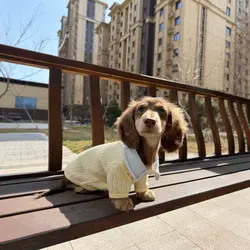 Jersey de punto cálido para perros Teckel – Ropa de abrigo