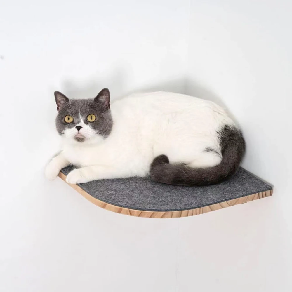 Estantes de pared para gatos en sala moderna