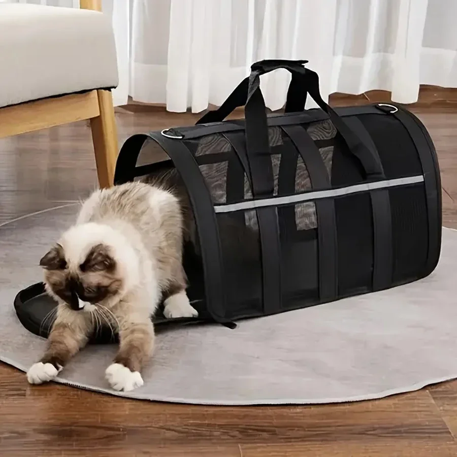 Perro pequeño cómodo dentro del transportín con buena ventilación lateral
